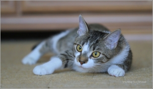<p>Mia</p>